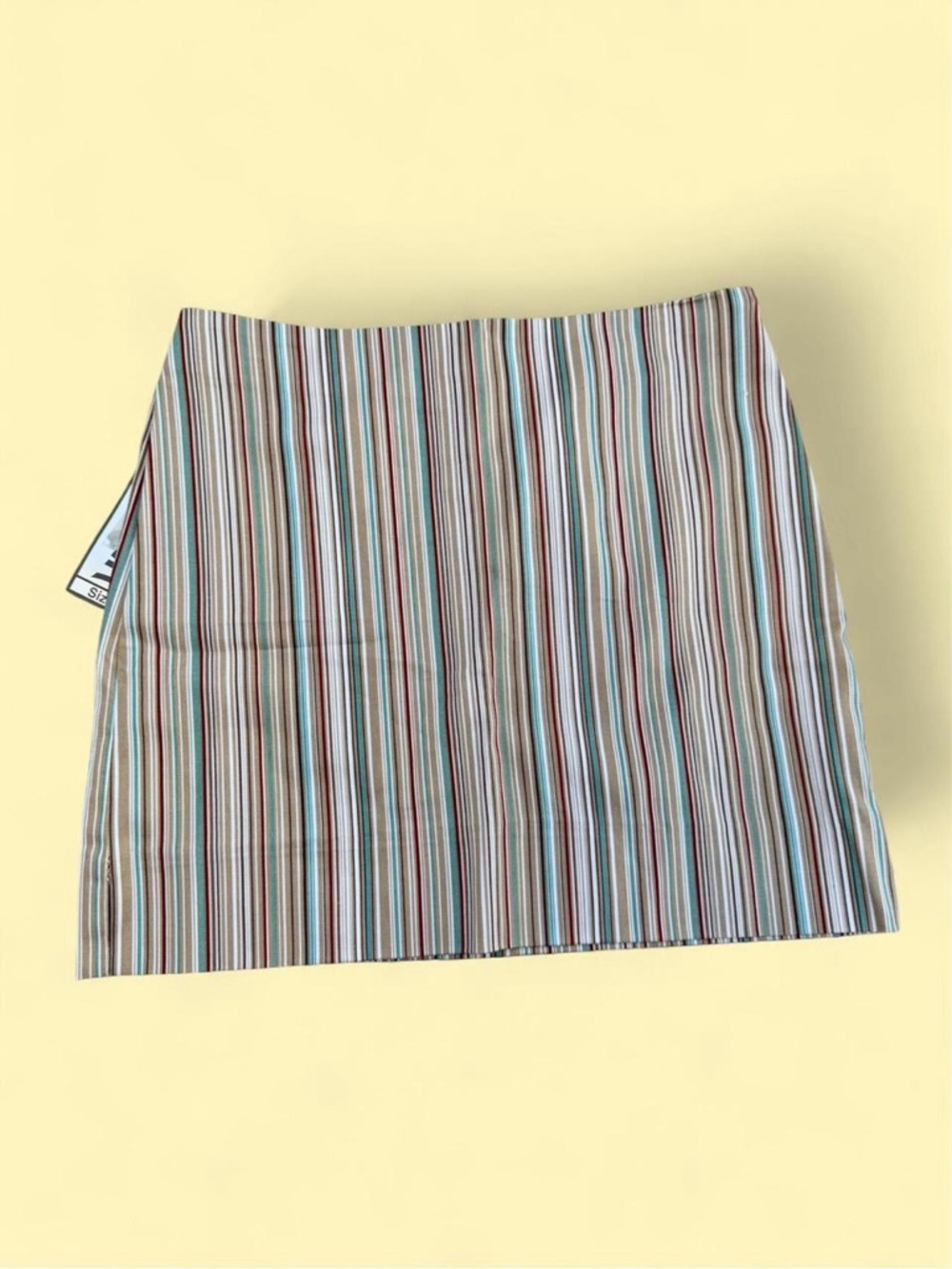 Clio Striped Zip Up Mini Skirt
